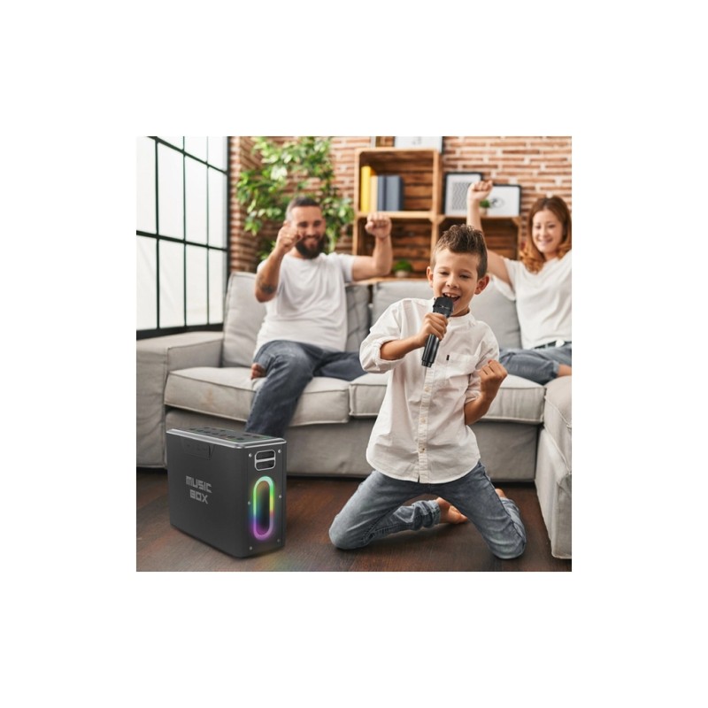 Акустическая система HiFuture MusicBox 100W Silver (musicbox.silver)