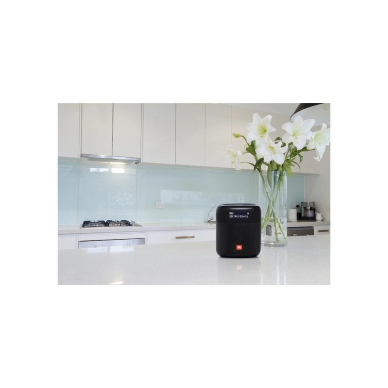 Акустична система JBL Tuner XL FM Black (JBLTUNERXLBLKEUNA)