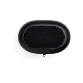 Акустическая система JBL Tuner XL FM Black (JBLTUNERXLBLKEUNA)