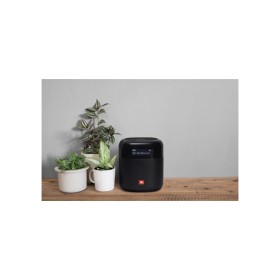 Акустическая система JBL Tuner XL FM Black (JBLTUNERXLBLKEUNA)