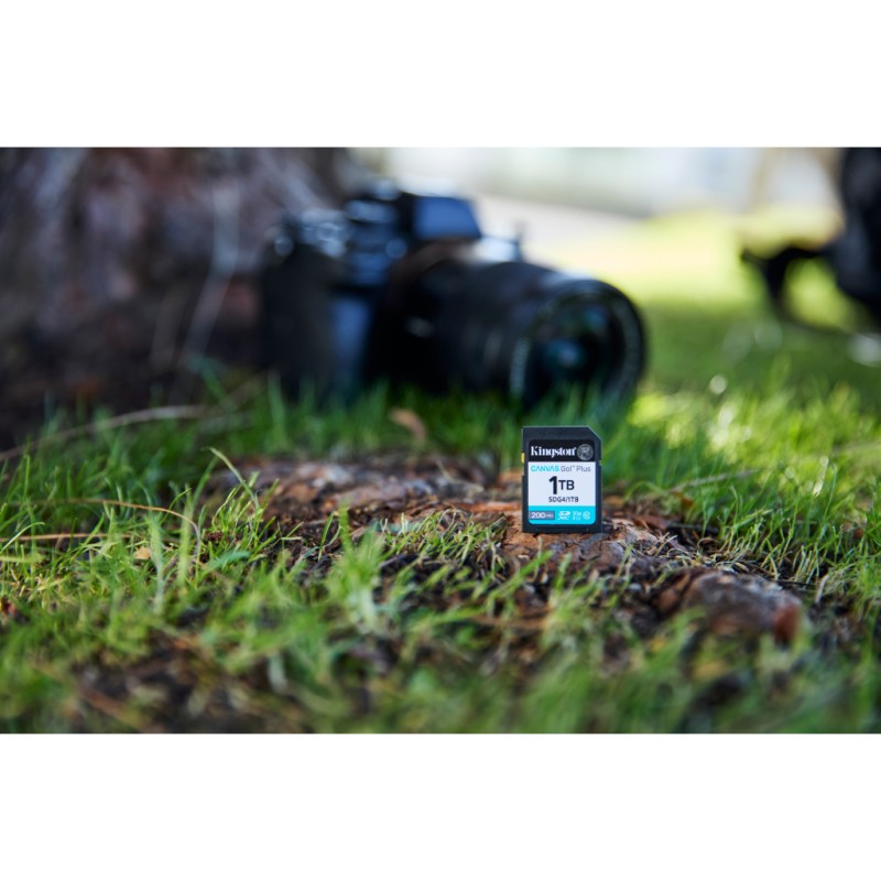 Карта памяти Kingston 128GB SDXC сlass 10 UHS-I U3 V30 Canvas Go Plus G4 (SDG4/128GB)