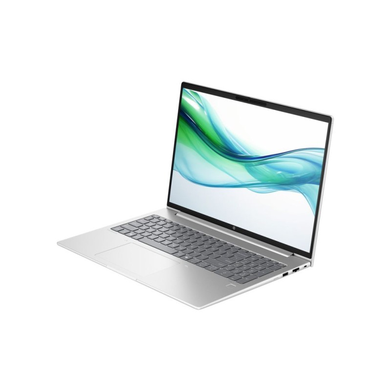 Ноутбук HP ProBook 460 G11 (AD1X2ET)