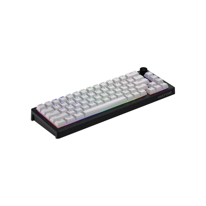 Клавиатура Hator Skyfall 65 MAG ULTRA 8K Aurum Ice RGB USB UA Black/White (HTK1860UA)