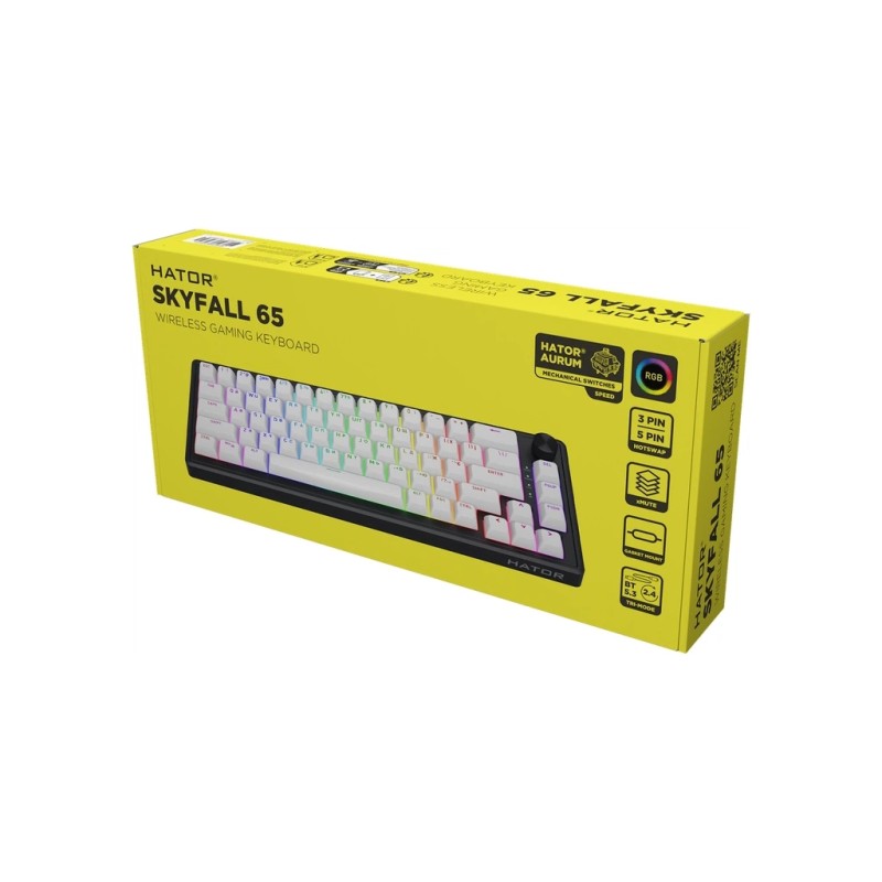 Клавиатура Hator Skyfall 65 Aurum Sterling RGB Wireless/Bluetooth/USB UA Black/White (HTK3160UA)