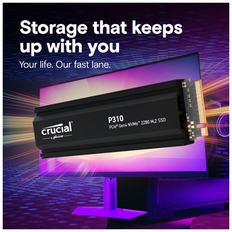 Накопитель SSD M.2 2280 2TB P310 with heatsink Micron (CT2000P310SSD5)