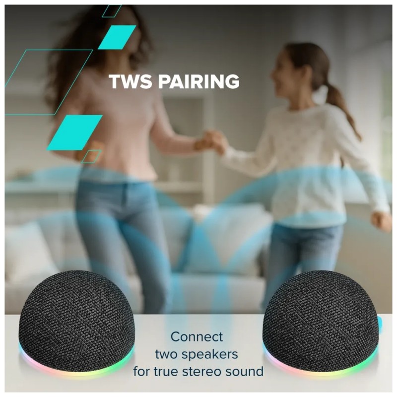 Акустическая система Canyon OnMove 13 Black (CNE-CBTSP13B)