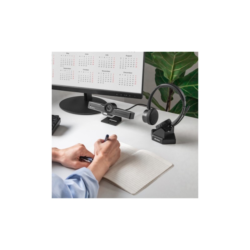 Наушники Sandberg Wireless Office Headset Pro+ Bluetooth Black (126-18)