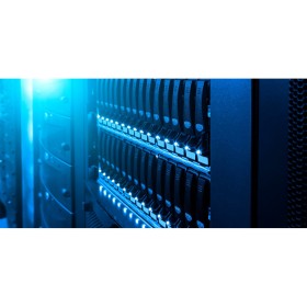 Жорсткий диск 3.5" 6TB WD (WD6004FRYZ)