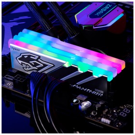 Модуль памяти для компьютера DDR5 32GB (2x16GB) 5600 MHz Panther RGB