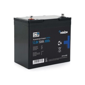 Батарея LiFePo4 Merlion LFP12-50US