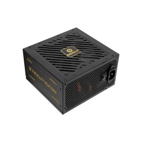Блок питания Enermax 650W Revolution III (ERV650G-AHG-MAC)