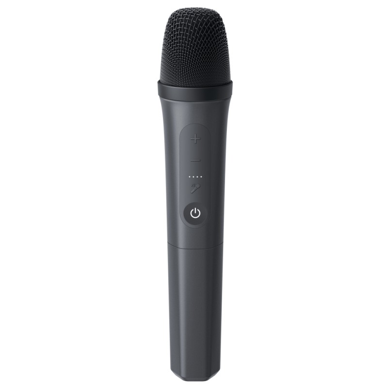Акустична система Anker SoundСore Rave 3S Black (A31A3012)