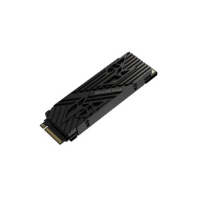 Накопитель SSD M.2 2280 4TB GM7000 Heatsink Acer Predator (BL.9BWWR.124)