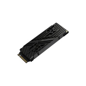 Накопитель SSD M.2 2280 1TB GM7000 Heatsink Acer Predator (BL.9BWWR.122)