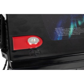 Батарея LiFePo4 Longttech 12.8V - 200Ah (LAR12200-G4D-R32)