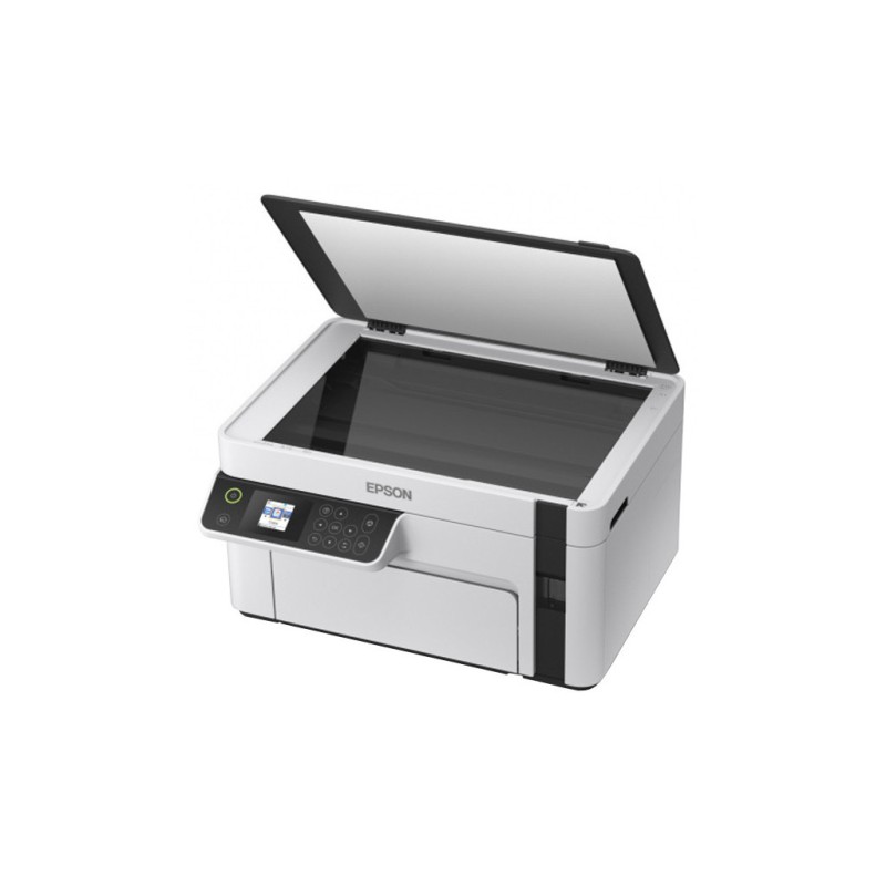 Многофункциональное устройство Epson M2110 (C11CJ19401)