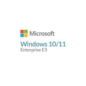 Операционная система Microsoft Windows 10/11 Enterprise E3 P1Y Annual License (CFQ7TTC0LGTX_0004_P1Y_A)