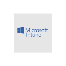 Офисное приложение Microsoft Intune Storage Add-on P1Y Annual License (CFQ7TTC0LCH4_0006_P1Y_A)