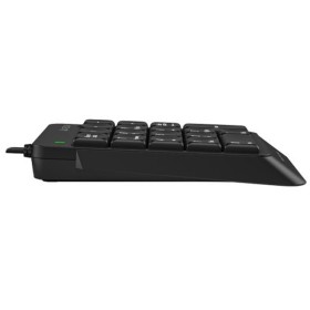 Клавиатура A4Tech FK13P Black (4711421951210)