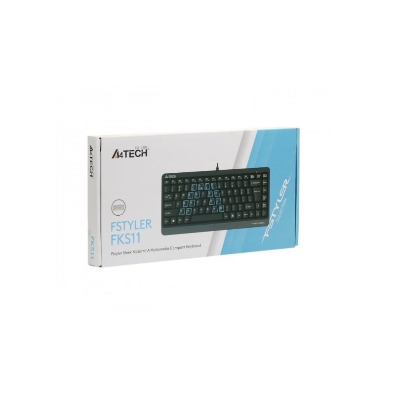 Клавиатура A4Tech FKS11 USB Grey (4711421960458)
