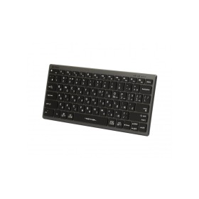 Клавиатура A4Tech FX61 USB Grey (4711421976411)