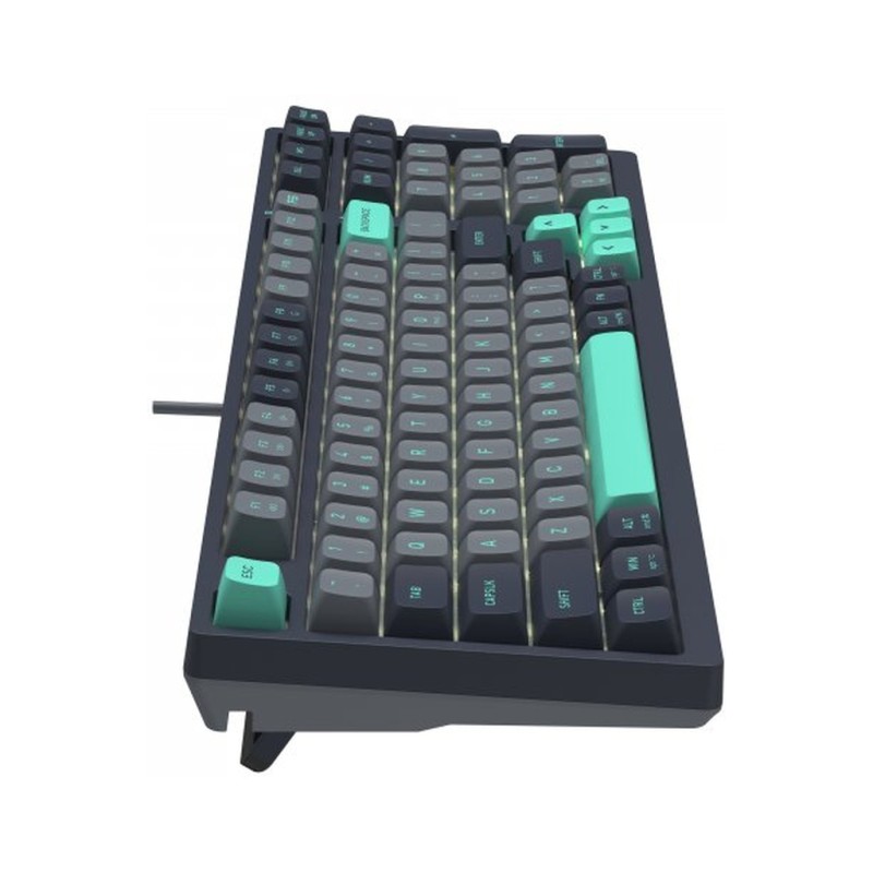 Клавиатура A4Tech FS300 FS Switches USB Panda Rock Climbin (4711421000444)