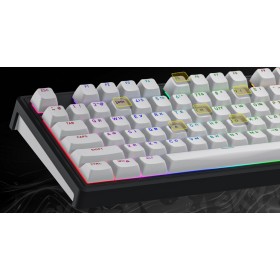 Клавиатура Hator Skyfall 80 Wireless Black/White (HTK3180UA)