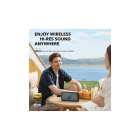 Акустическая система Anker SoundCore Motion 300 Black (A3135011)