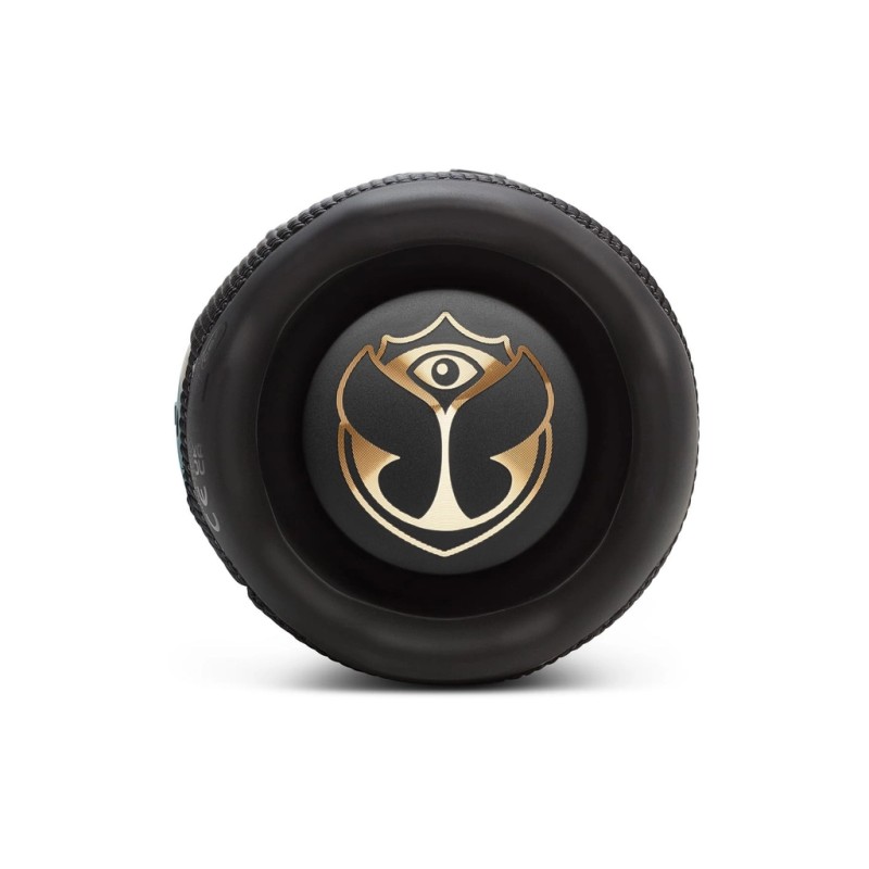Акустическая система JBL Flip 7 Tomorrowland (JBLFLIP7TML)