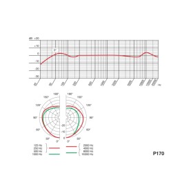 Микрофон AKG P170 (3101H00410)