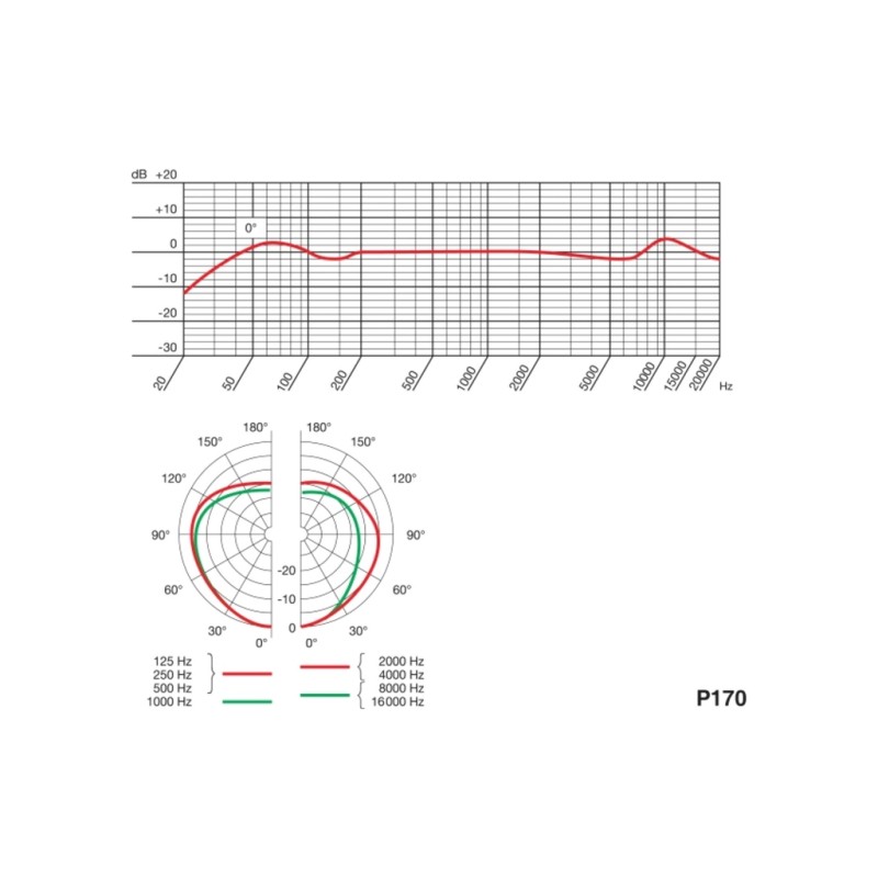 Микрофон AKG P170 (3101H00410)