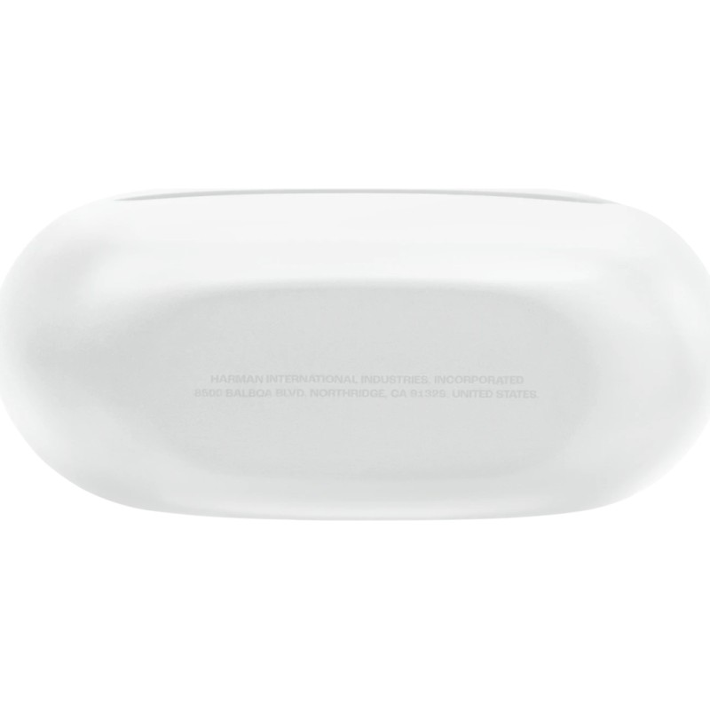 Наушники JBL Endurance Race 2 White (JBLENDURACE2WHT)