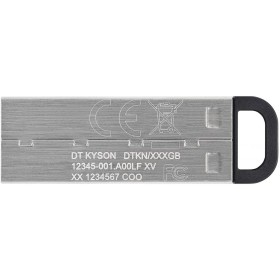USB флеш накопитель Kingston 256GB DT Kyson Silver/Black USB 3.2 (DTKN/256GB)