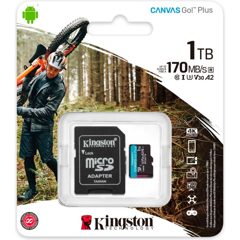 Карта пам'яті Kingston 1TB microSDXC сlass 10 UHS-I U3 V30 A2 Canvas Go Plus G4 (SDCG4/1TB)