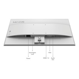 Монитор Lenovo L24-4C (67DDKAC6UA)