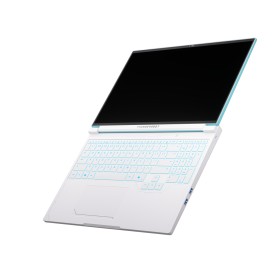 Ноутбук Thunderobot RS16 (RS16-I9139HX56E1Q240ARC)