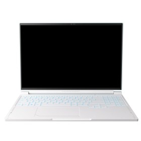 Ноутбук Thunderobot RS16 (RS16-I9139HX56E1Q240ARC)