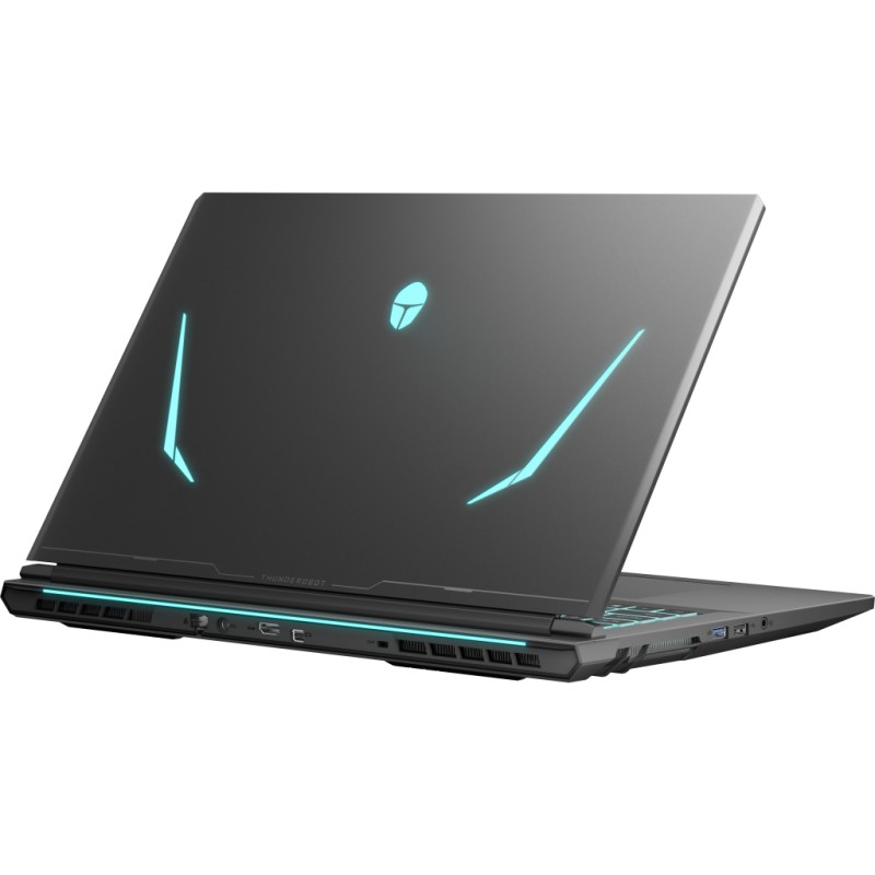 Ноутбук Thunderobot 911 X17 (911X17-i7136H56C1Q165MB)