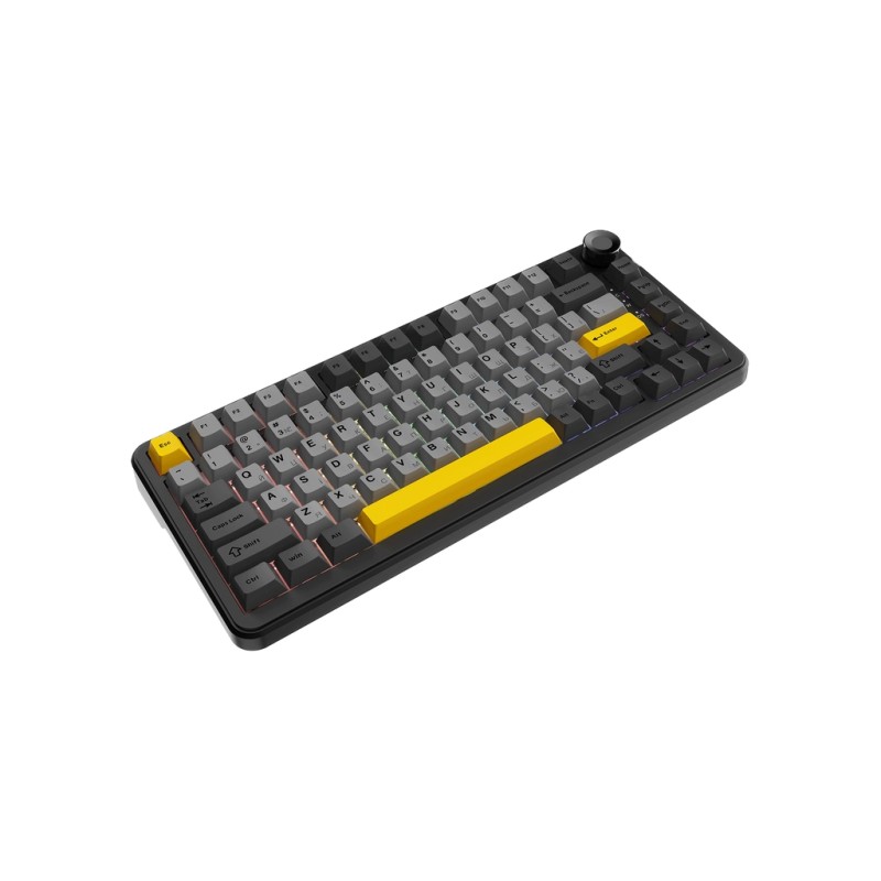 Клавиатура Ajazz AK820 MAX Magnetic Switch RGB USB Black (AK820MAX-WM-BGY)