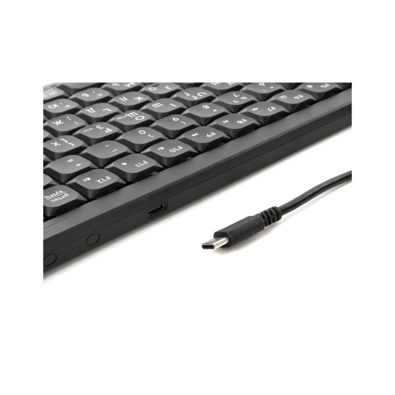 Клавиатура A4Tech FX53 USB UA Black (4711421002394)