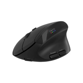 Мышка Canyon MW-25 LED Silent Wireless/Bluetooth Black (CNS-CMSW25)