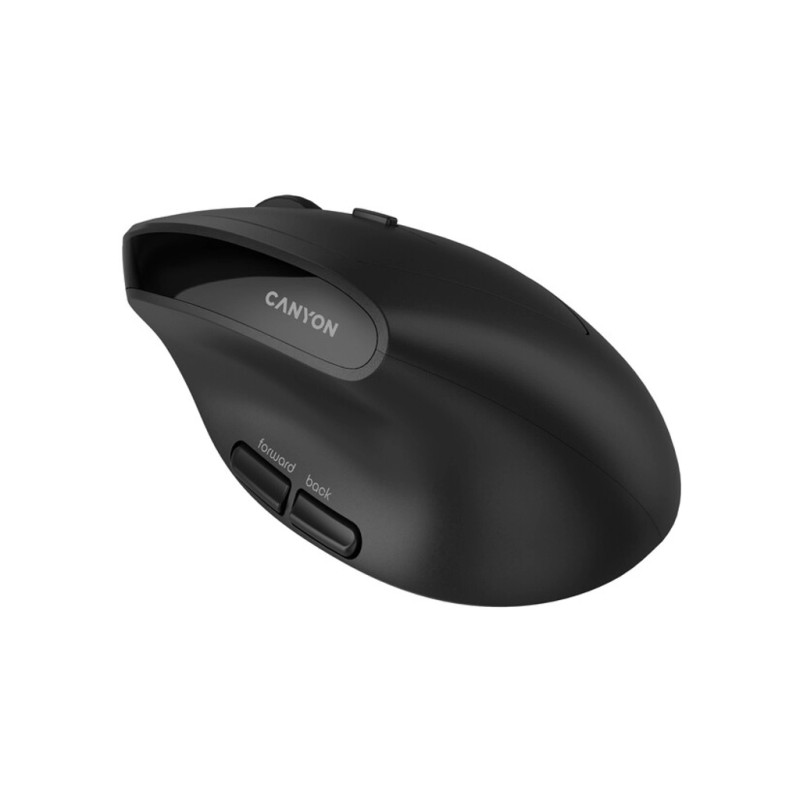 Мышка Canyon MW-25 LED Silent Wireless/Bluetooth Black (CNS-CMSW25)
